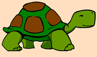 turtle-304426_640